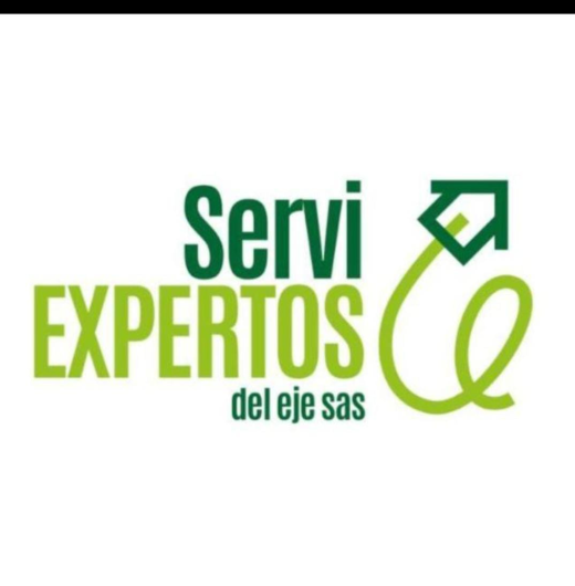Servi Expertos del Eje SAS