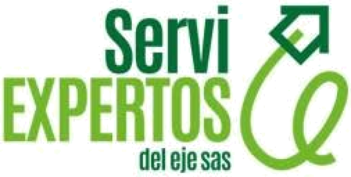 Servi Expertos del Eje